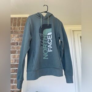 The North Face Men's Teal Hoodie Sweater